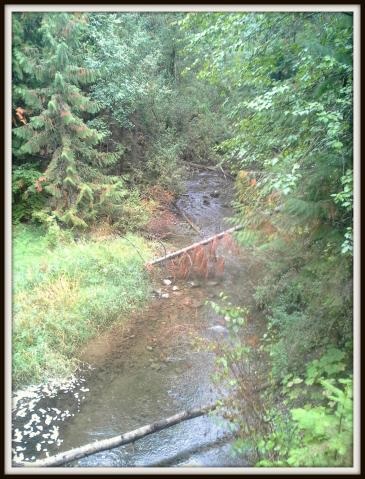 2821 Deep Lake Boundary Road Colville, WA 99114 - Photo 17 of 19 Gallery Image 17