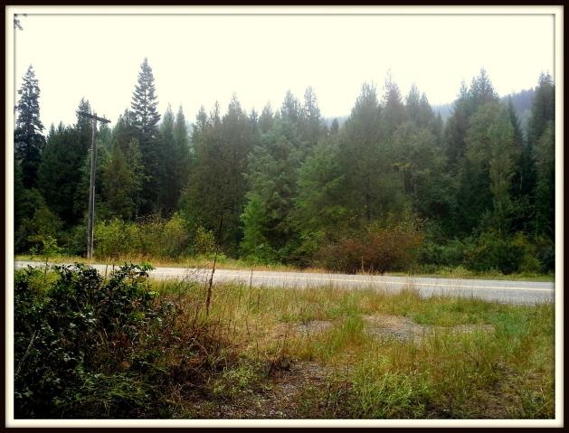 2821 Deep Lake Boundary Road Colville, WA 99114 - Photo 8 of 19 Gallery Image 8