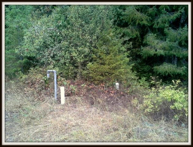 2821 Deep Lake Boundary Road Colville, WA 99114 - Photo 10 of 19 Gallery Image 10