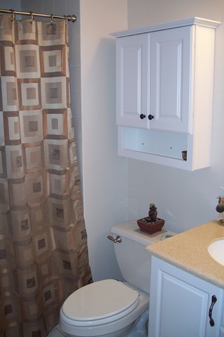 43 Foxcroft Road, Unit 103 Naperville, IL 60565 - Photo 14 of 18 a bathroom with a sink a toilet and shower