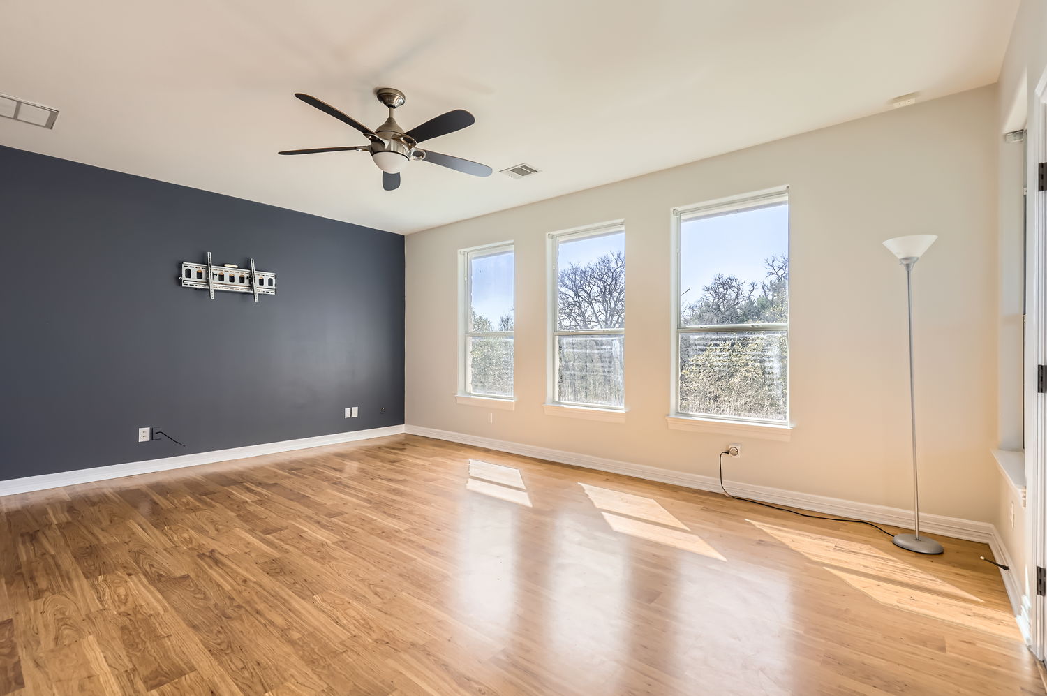 210 Amandas Way Leander, TX 78641 - Photo 30 of 38 Empty room featuring baseboards, plenty of natural light, visible vents, and light wood-style floors