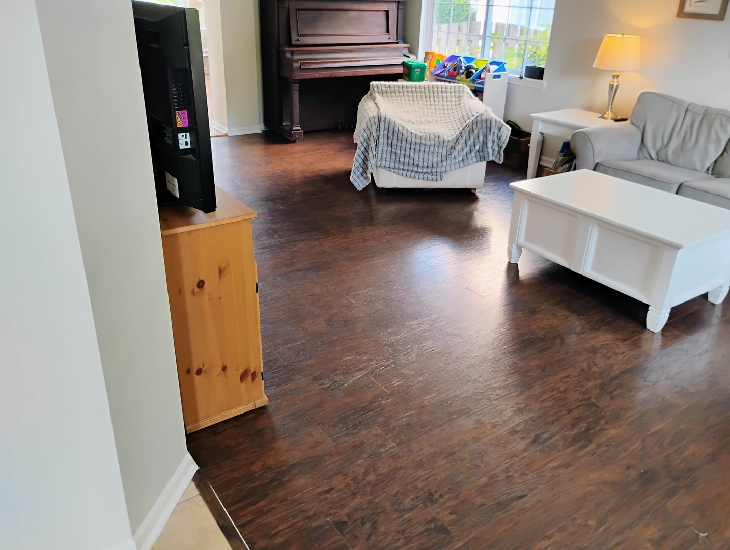 178 West Hampton Drive Round Lake, IL 60073 - Photo 12 of 55 a living room with furniture and a fireplace