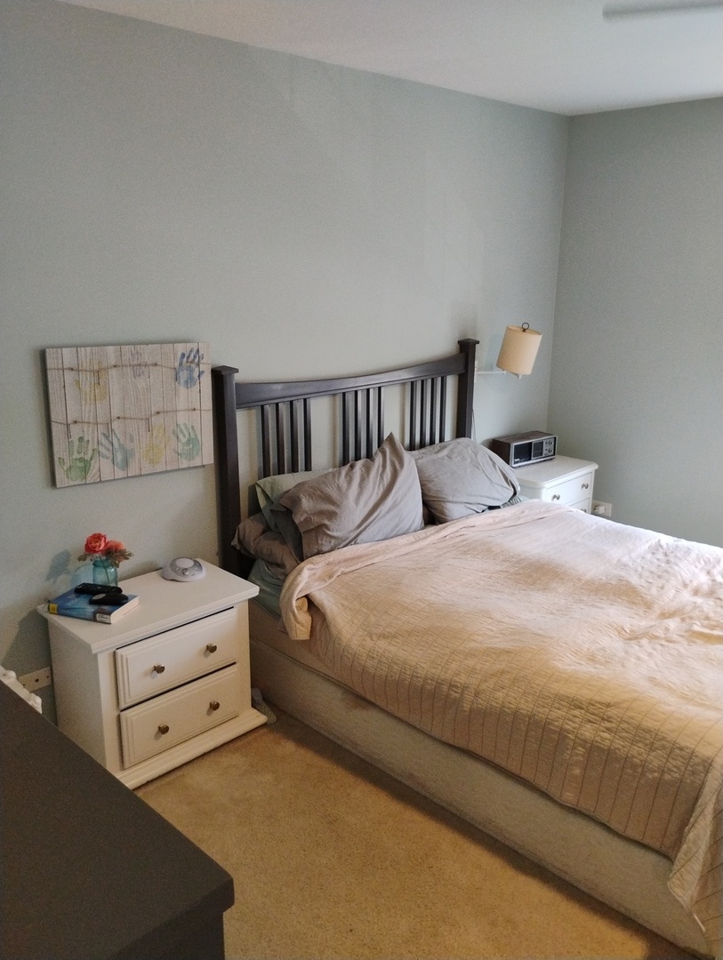 178 West Hampton Drive Round Lake, IL 60073 - Photo 26 of 55 a bedroom with a bed and lamp