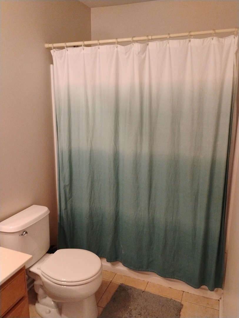 178 West Hampton Drive Round Lake, IL 60073 - Photo 27 of 55 a bathroom with a toilet and a shower curtain