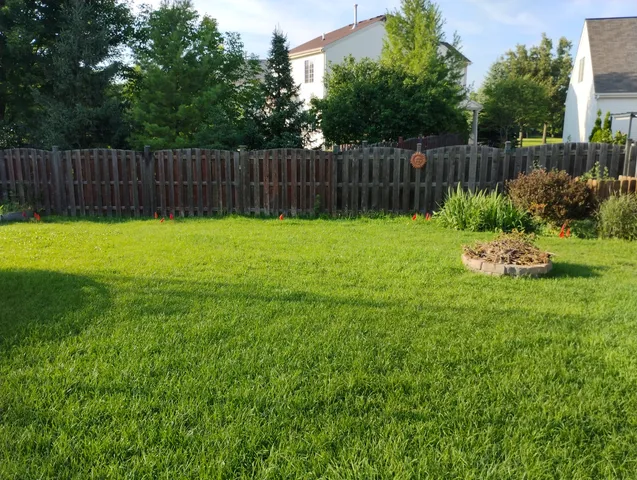 a view of backyard with potted plants and wooden fence
