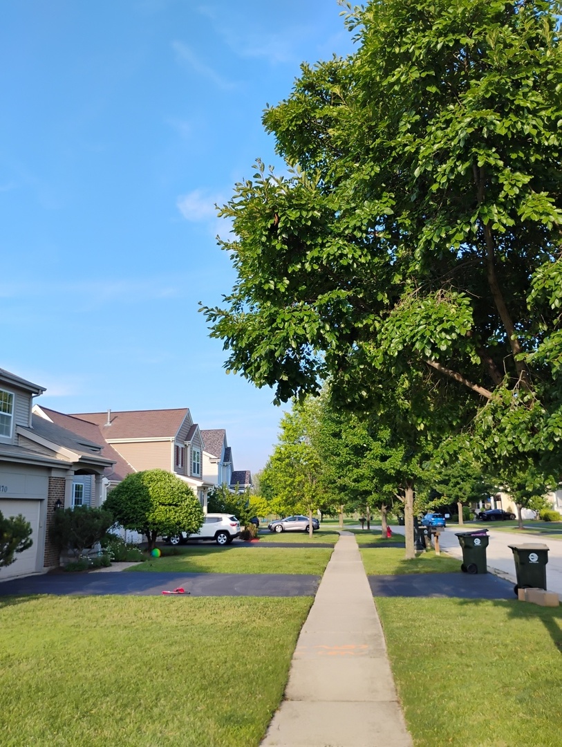 178 West Hampton Drive Round Lake, IL 60073 - Photo 51 of 55