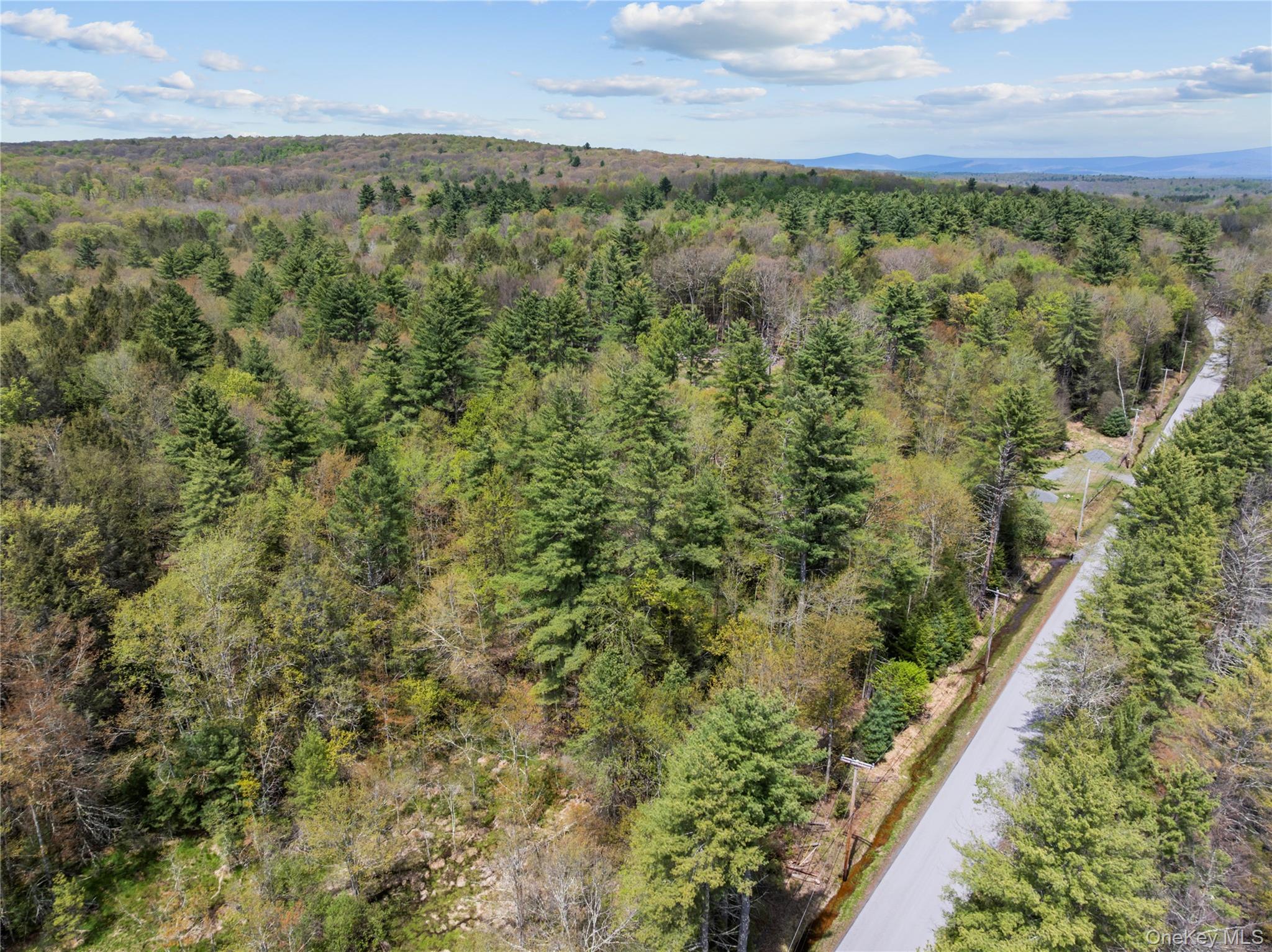 Church Road Fallsburg, NY 12733 - Photo 10 of 12