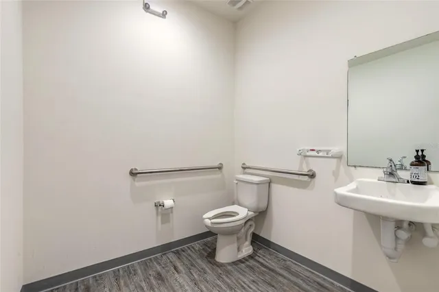 a bathroom with a sink and a toilet