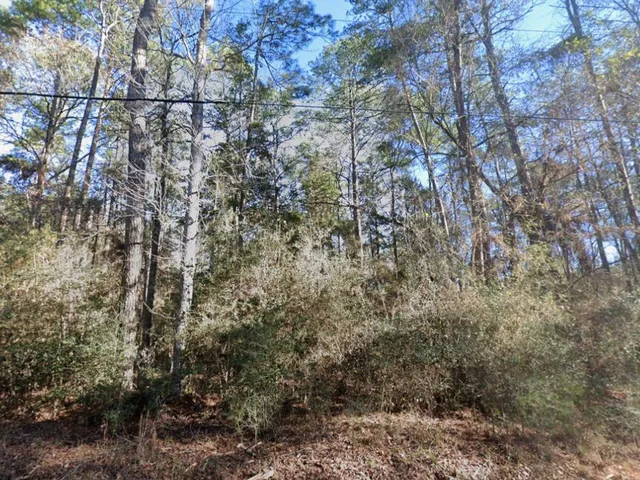 a view of a yard with a tree