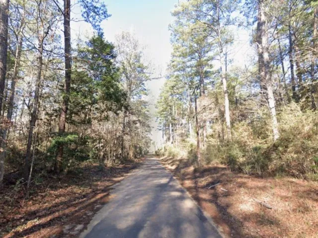 a view of outdoor space with a garden
