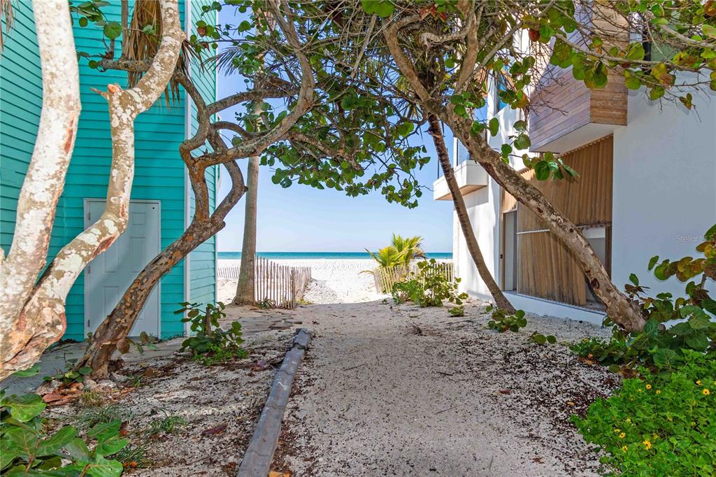 35 79th Terrace Treasure Island, FL 33706 - Photo 10 of 40 a backyard of a house with lots of green space