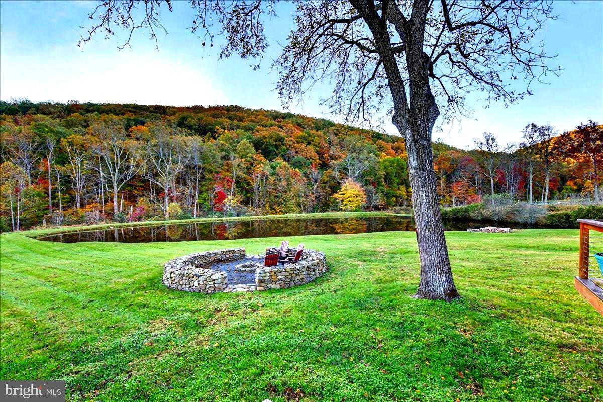 290 Riley Hollow Road Huntly, VA 22640 - Photo 7 of 148 a view of a backyard with large trees