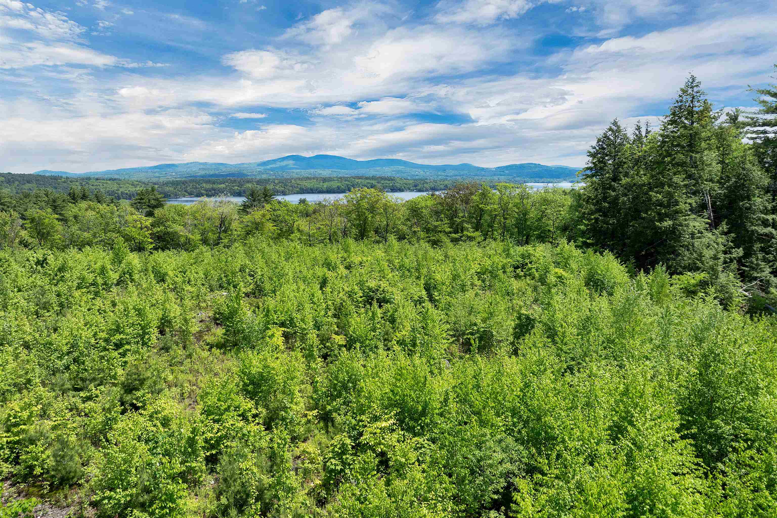 64-00 Eagle Ledge Road Meredith, NH 03253 - Photo 13 of 34