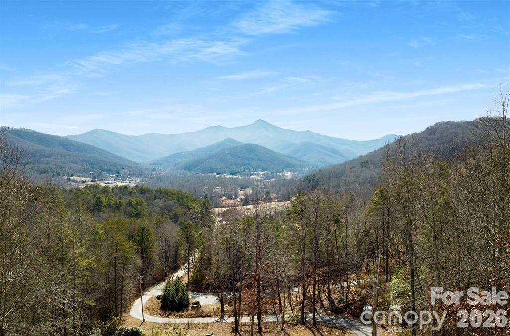 56 Great Horned Owl Road Candler, NC 28715 - Photo 4 of 32 a view of a town with mountains in the background