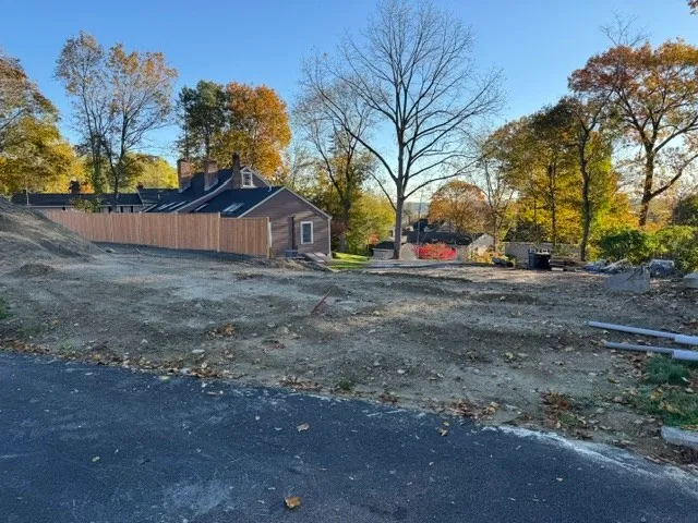 a view of a yard with a large tree