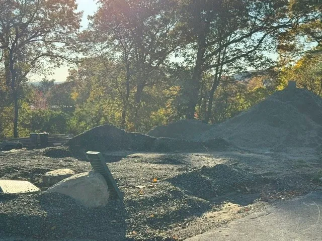 a view of a trees with yard