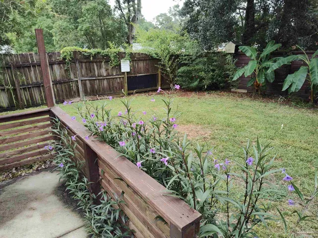 a view of a backyard with plants