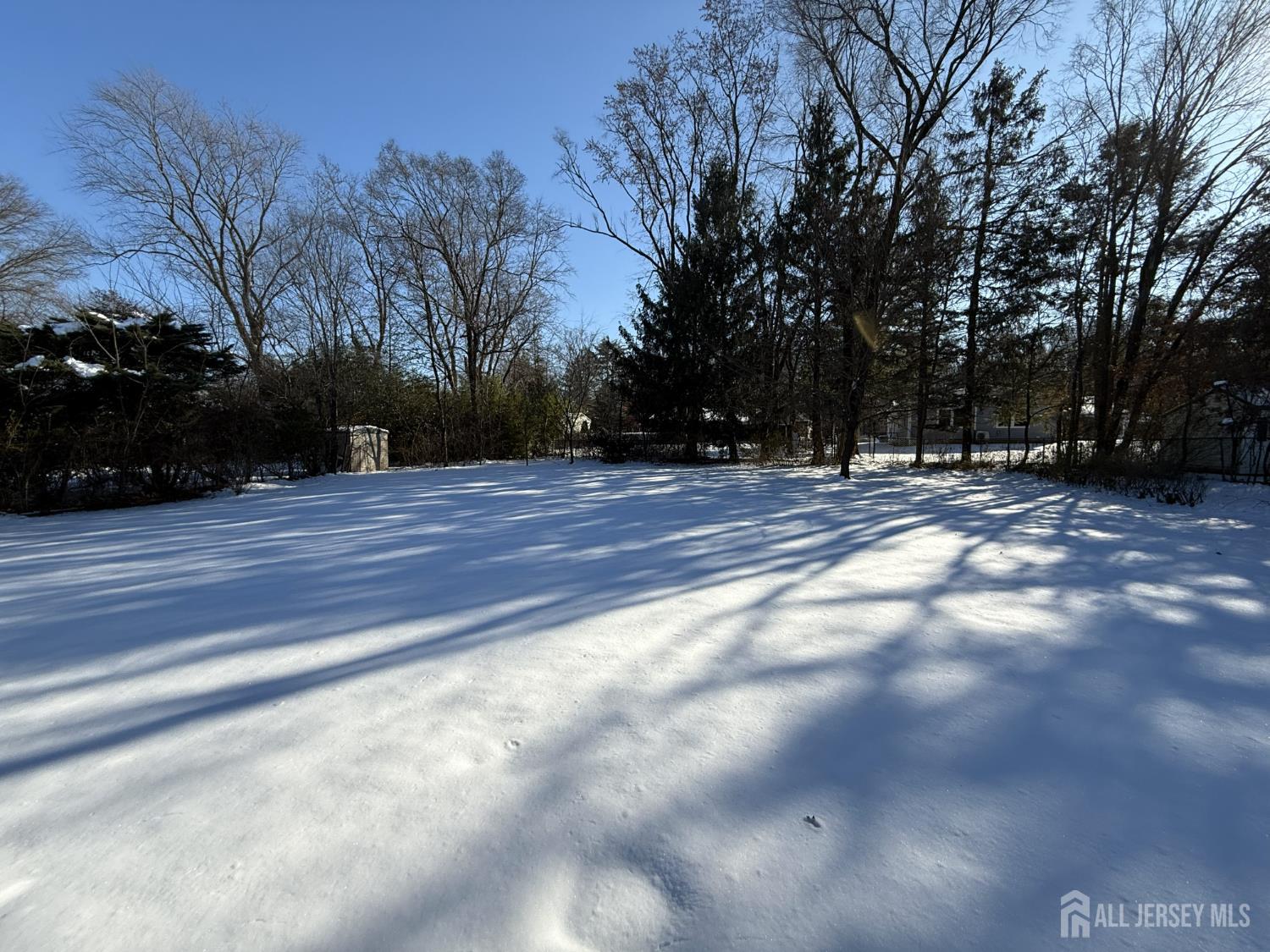 10 Tyndall Road Kendall Park, NJ 08824 - Photo 25 of 25 a view of outdoor space with trees