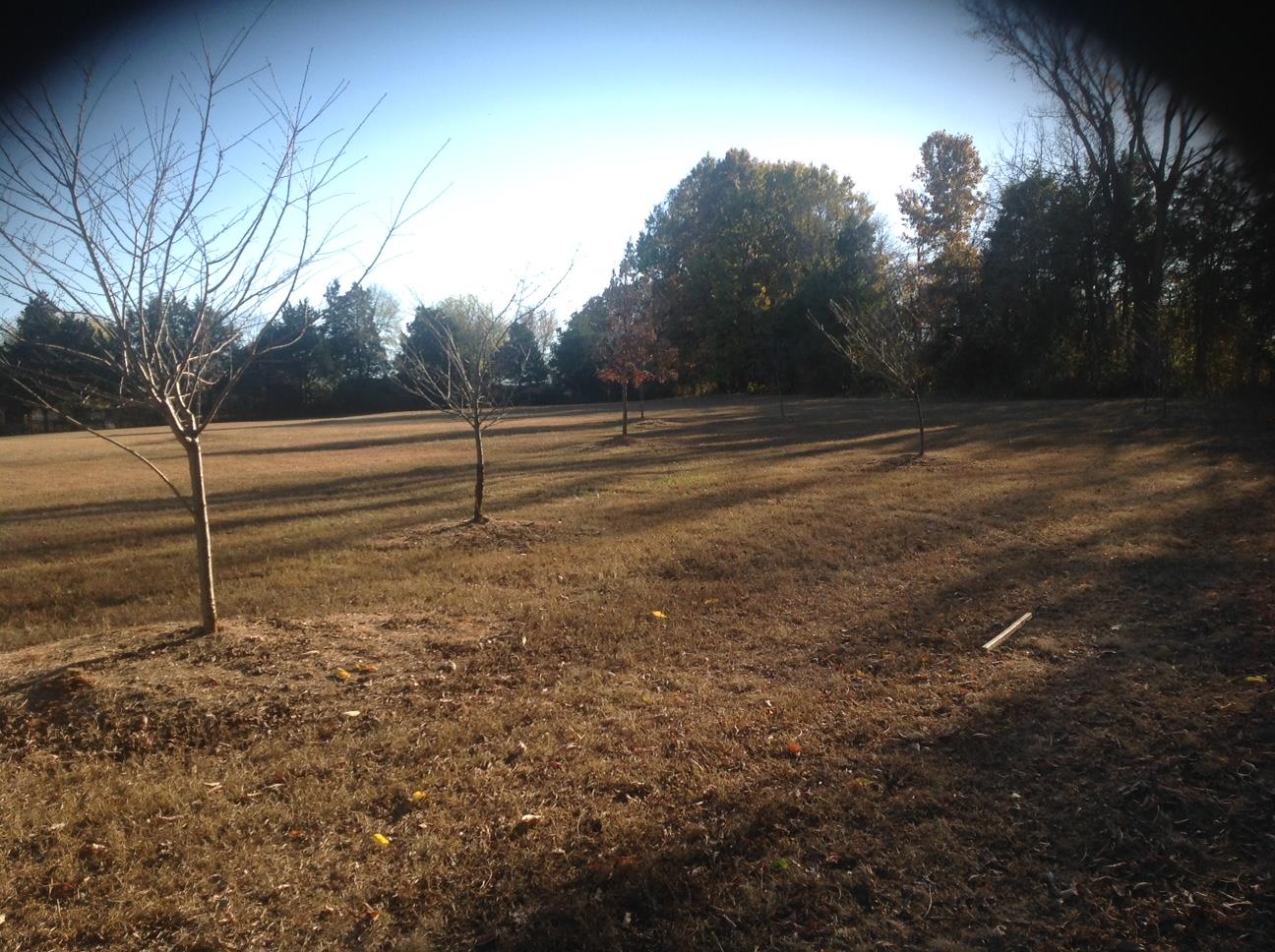 5525 George Franklin Road Murfreesboro, TN 37129 - Photo 22 of 23 Gallery Image 22