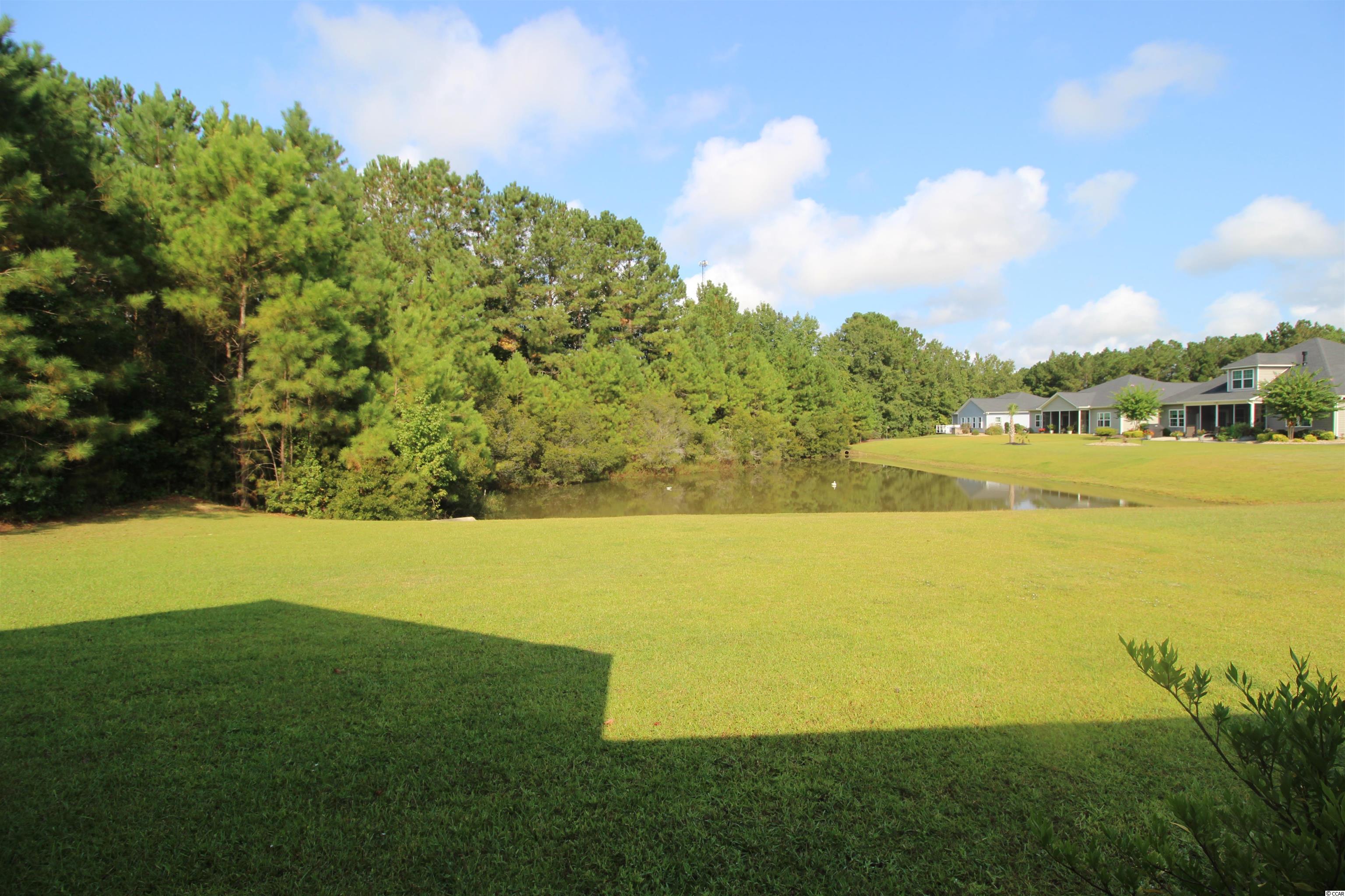 563 Carrick Loop Longs, SC 29568 - Photo 35 of 40 Gallery Image 35