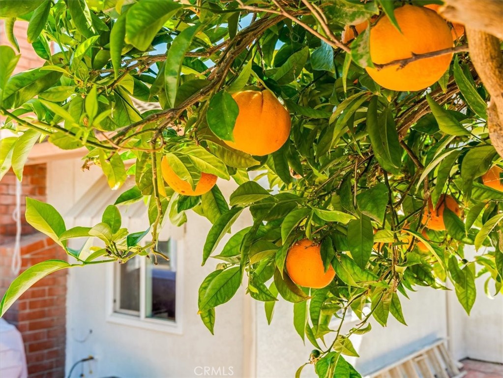 5435 Del Norte Way Santa Maria, CA 93455 - Photo 41 of 60