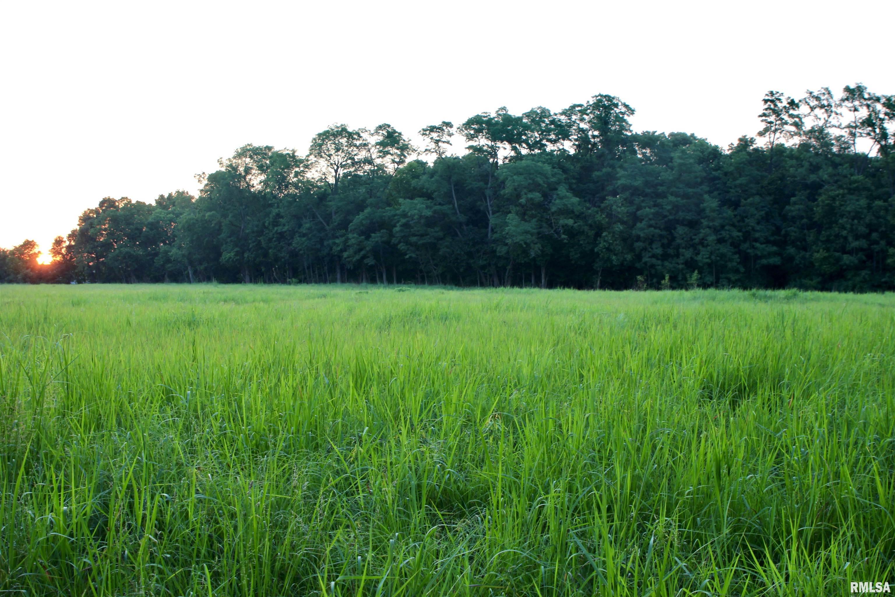 21208 North Blue Ridge Road Chillicothe, IL 61523 - Photo 70 of 99 Gallery Image 70