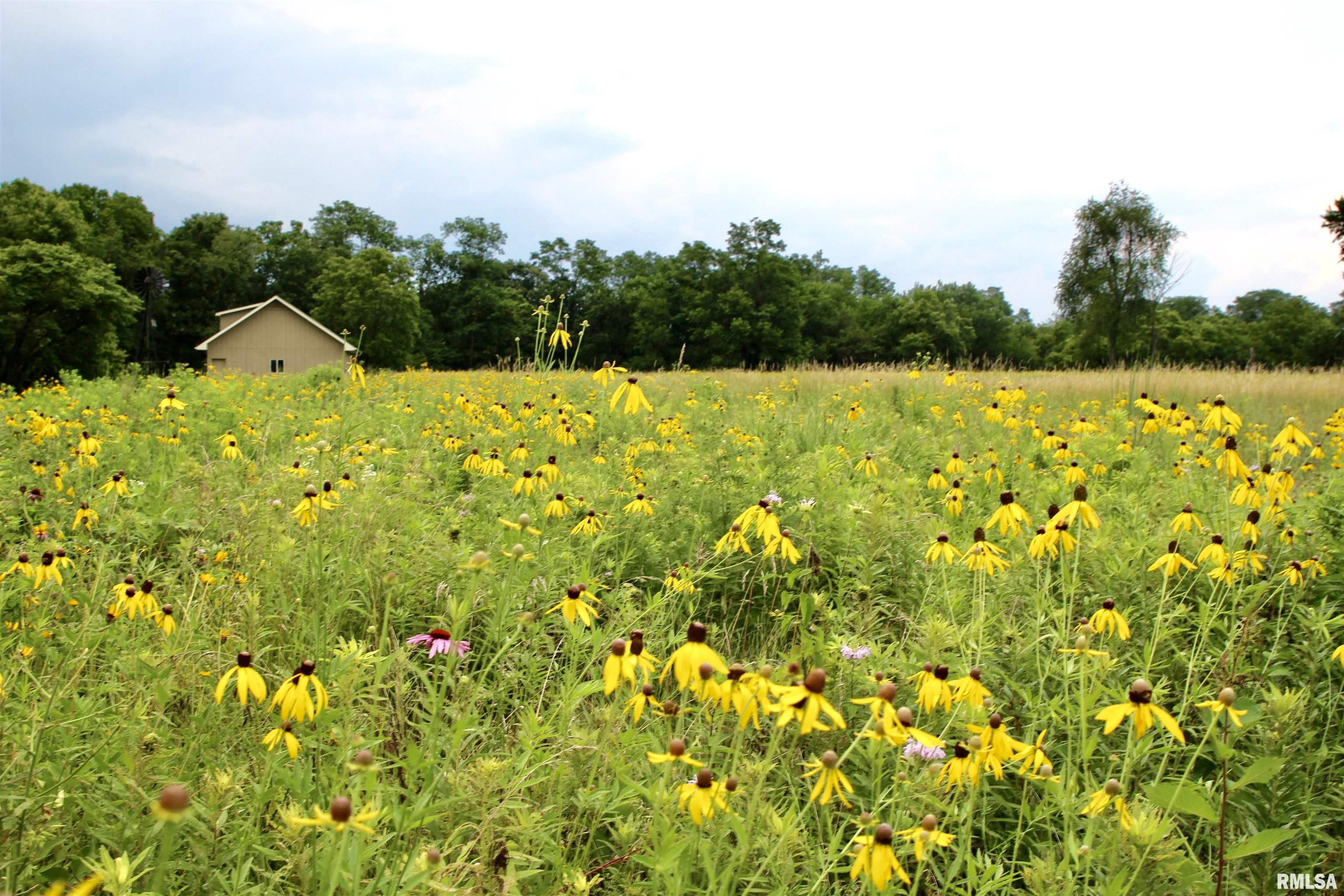 21208 North Blue Ridge Road Chillicothe, IL 61523 - Photo 75 of 99 Gallery Image 75