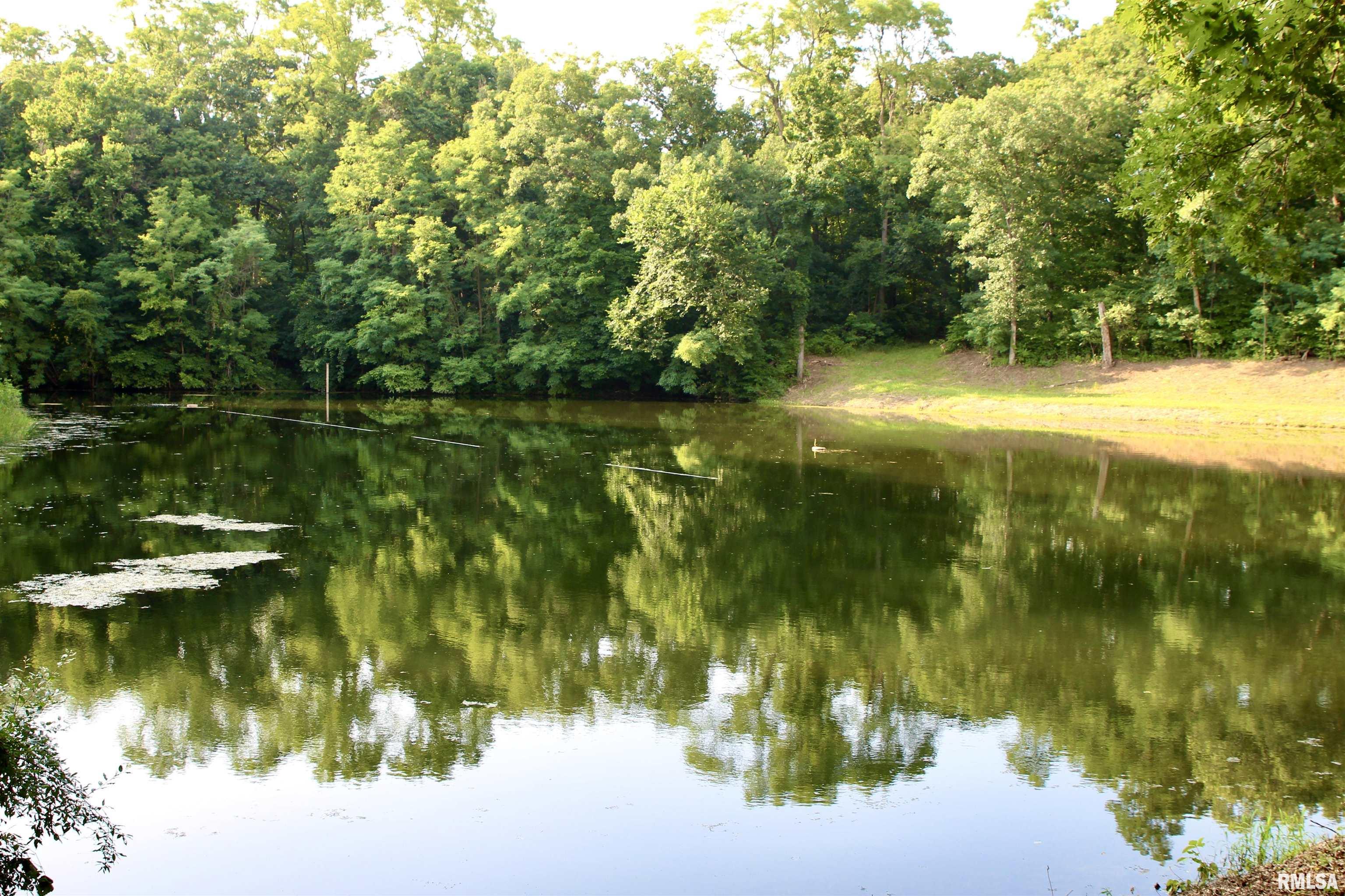 21208 North Blue Ridge Road Chillicothe, IL 61523 - Photo 79 of 99 Gallery Image 79