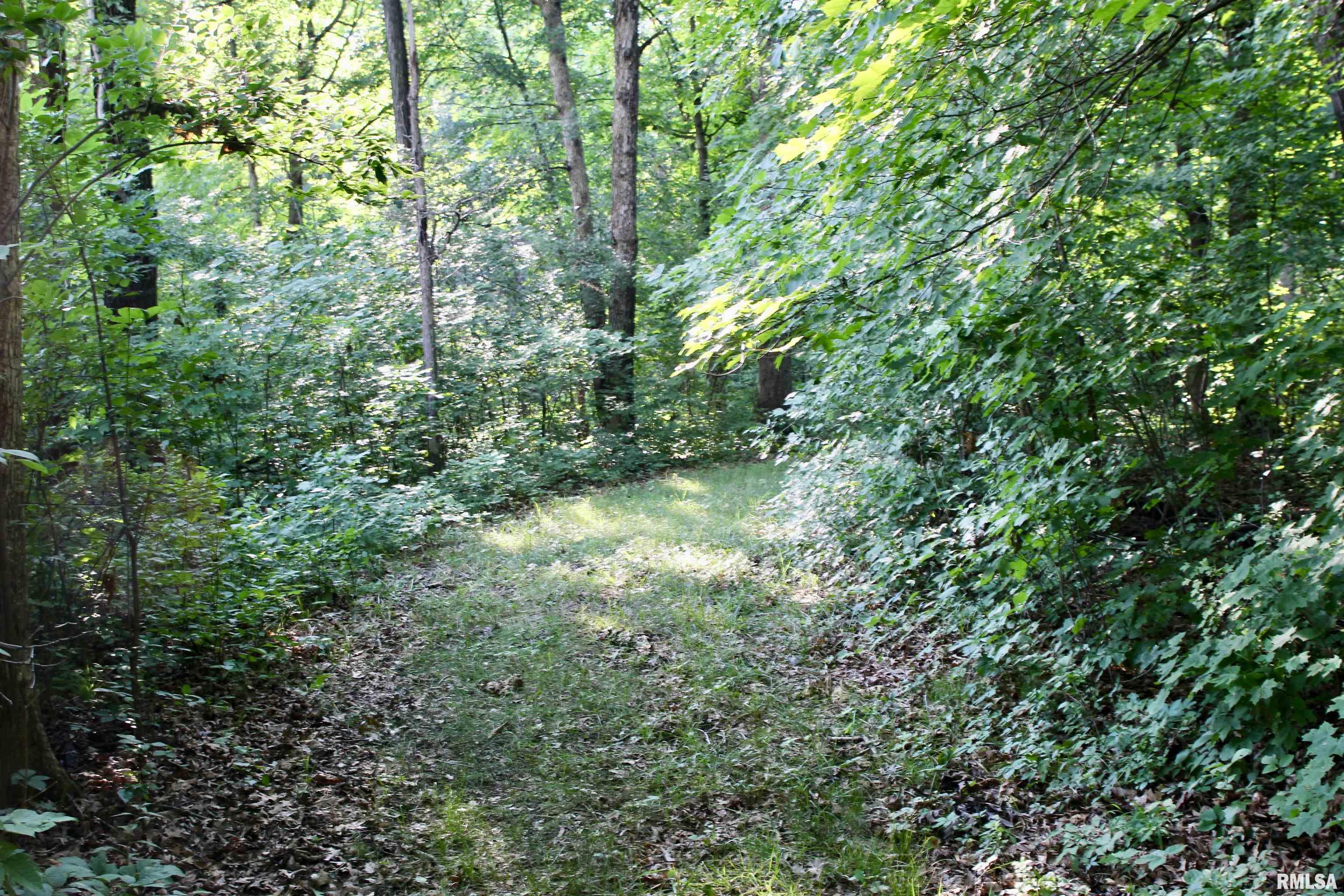 21208 North Blue Ridge Road Chillicothe, IL 61523 - Photo 82 of 99 Gallery Image 82