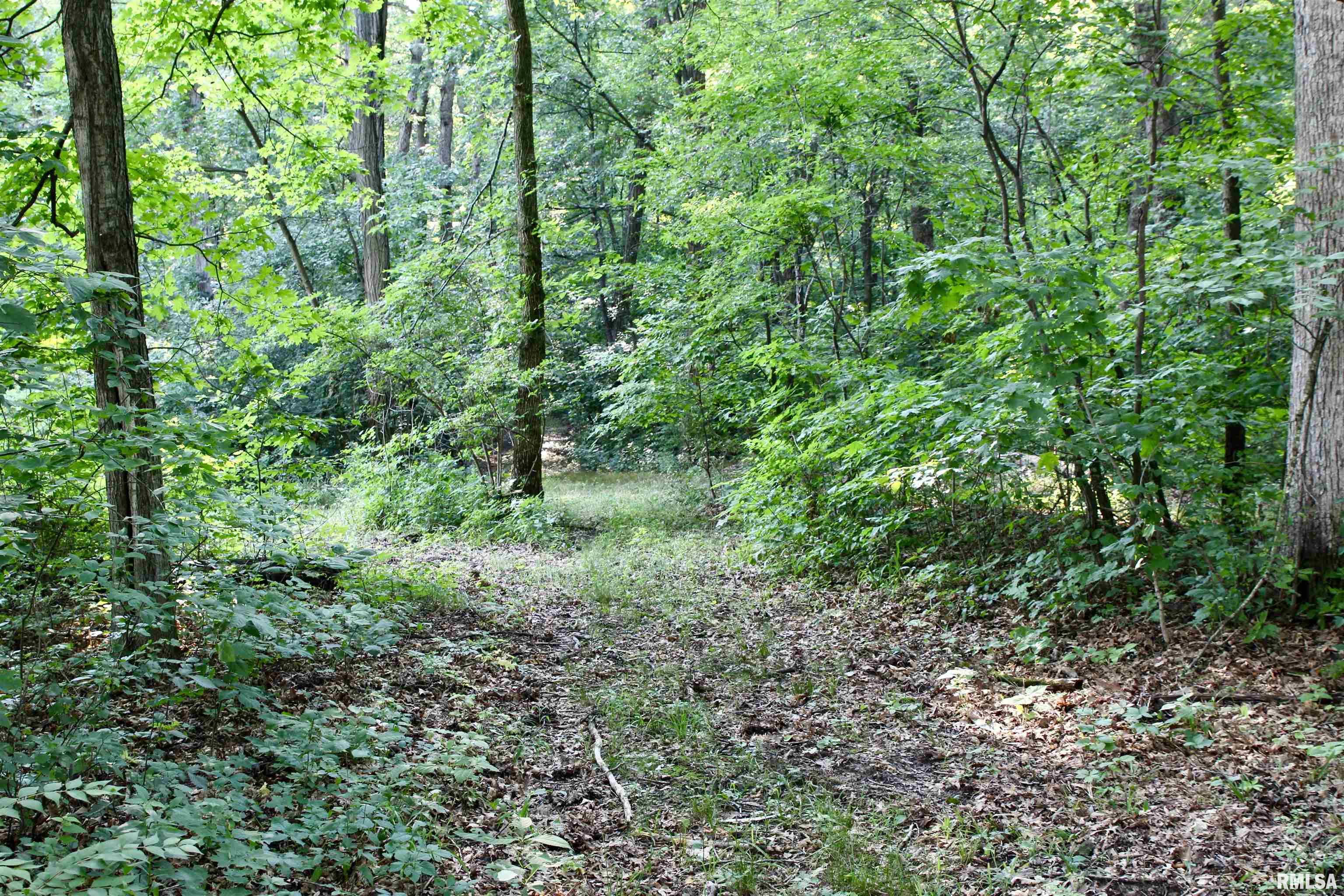21208 North Blue Ridge Road Chillicothe, IL 61523 - Photo 83 of 99 Gallery Image 83