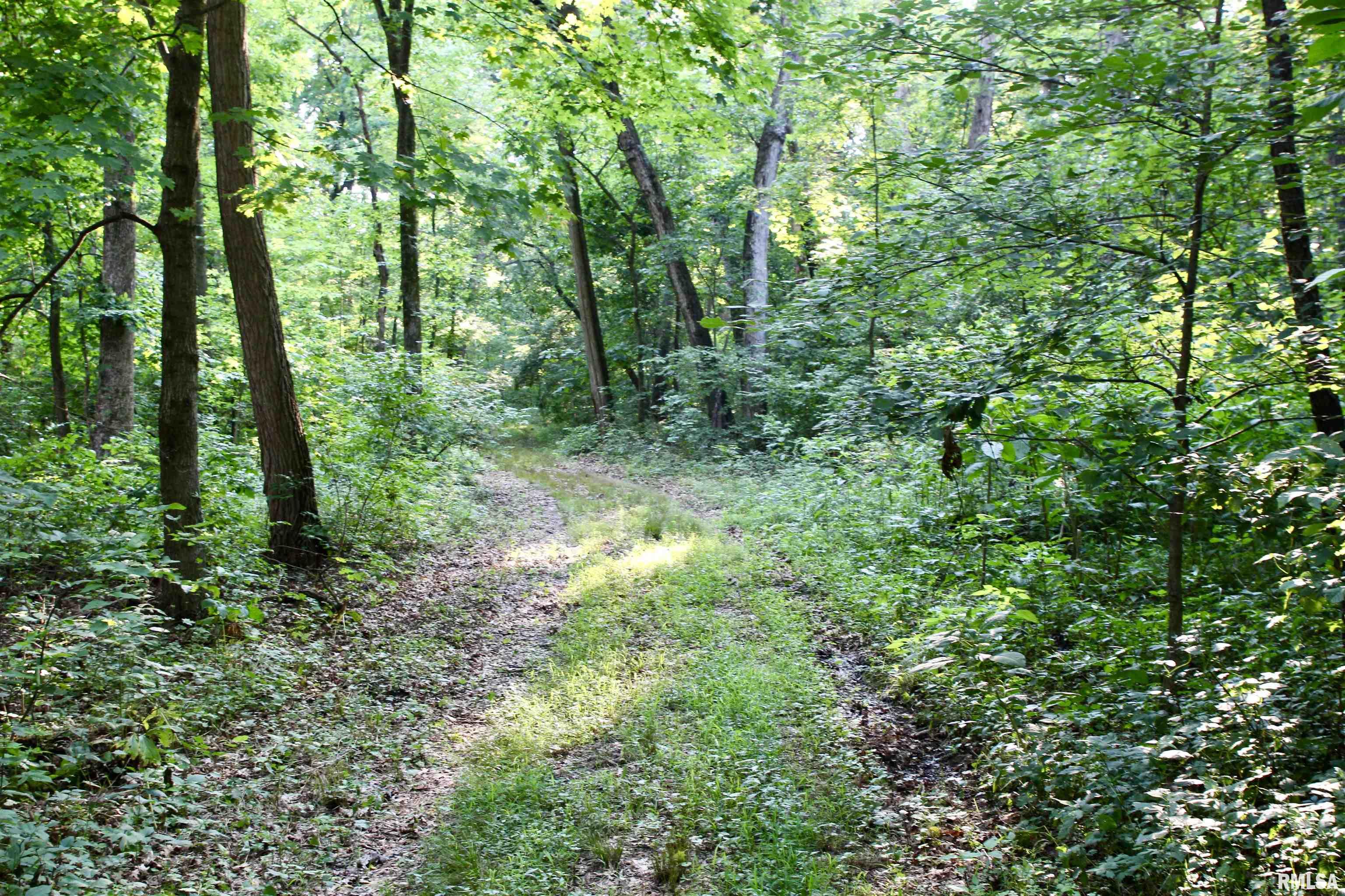 21208 North Blue Ridge Road Chillicothe, IL 61523 - Photo 85 of 99 Gallery Image 85