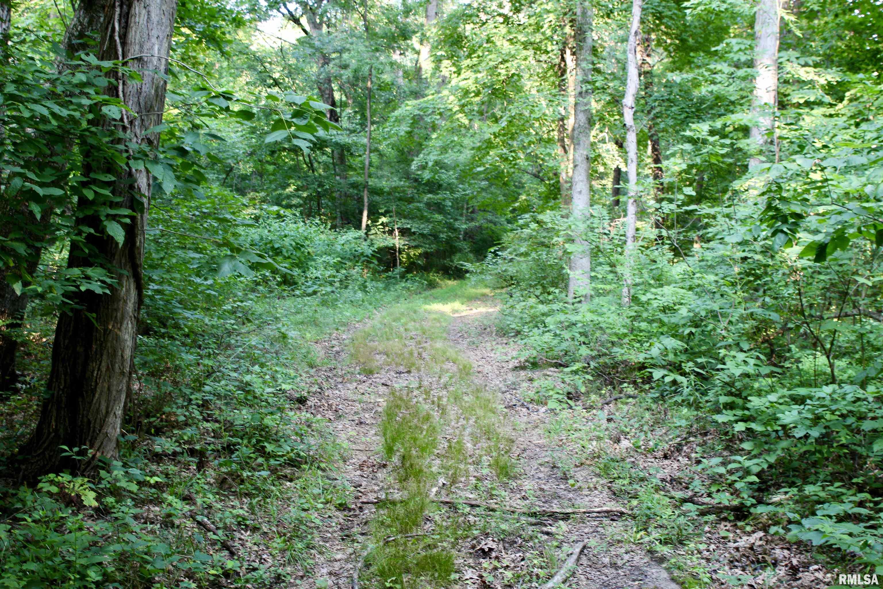 21208 North Blue Ridge Road Chillicothe, IL 61523 - Photo 86 of 99 Gallery Image 86