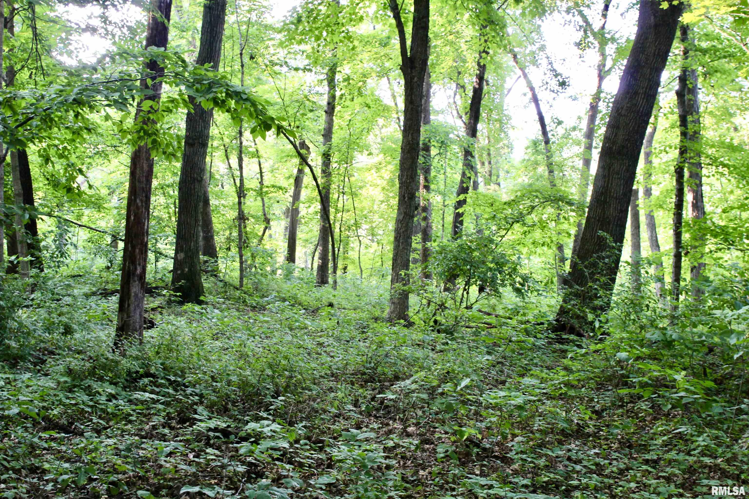 21208 North Blue Ridge Road Chillicothe, IL 61523 - Photo 87 of 99 Gallery Image 87