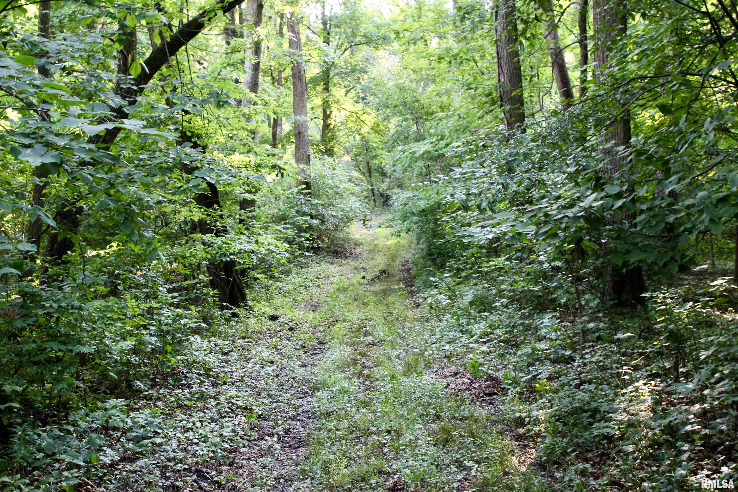 21208 North Blue Ridge Road Chillicothe, IL 61523 - Photo 88 of 99 Gallery Image 88