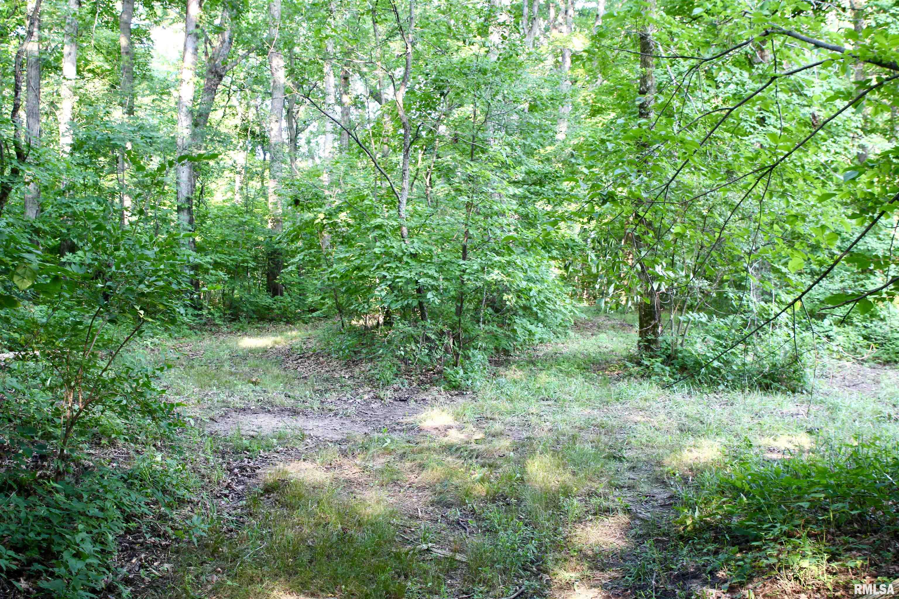 21208 North Blue Ridge Road Chillicothe, IL 61523 - Photo 89 of 99 Gallery Image 89