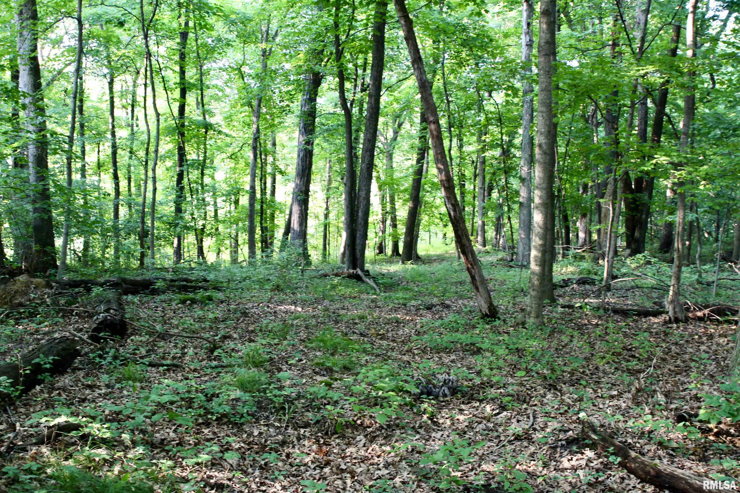 21208 North Blue Ridge Road Chillicothe, IL 61523 - Photo 90 of 99 Gallery Image 90
