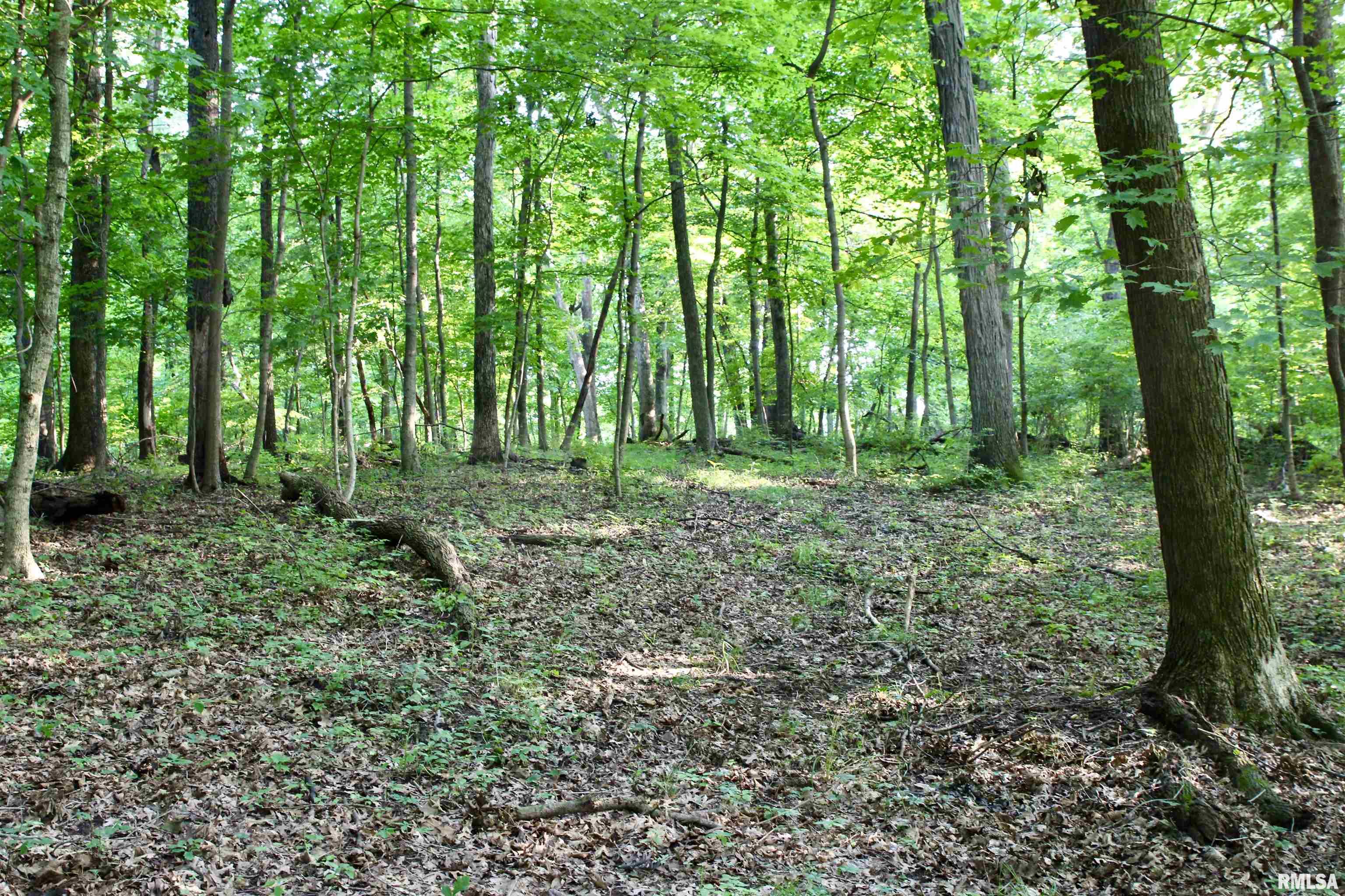 21208 North Blue Ridge Road Chillicothe, IL 61523 - Photo 91 of 99 Gallery Image 91