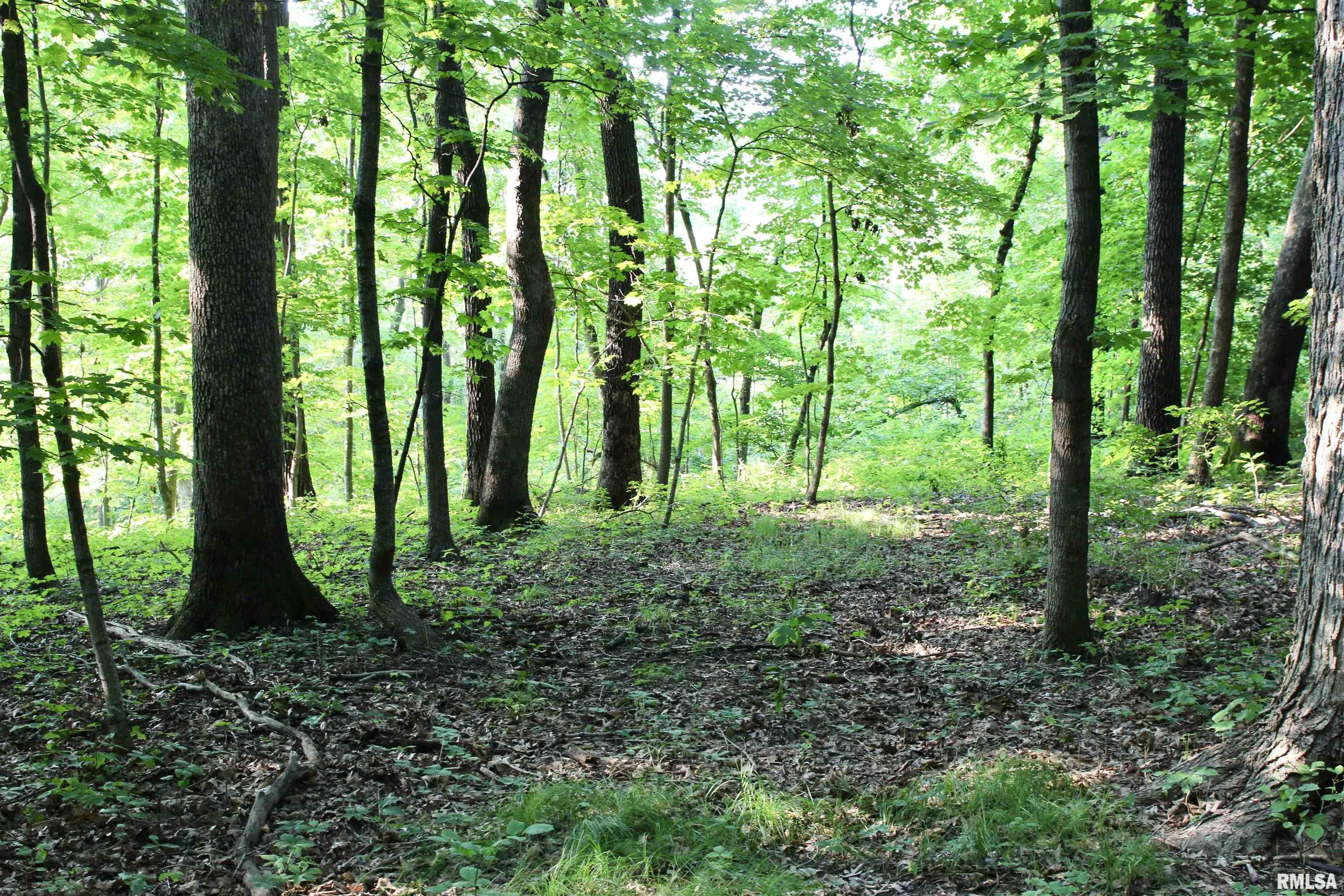 21208 North Blue Ridge Road Chillicothe, IL 61523 - Photo 92 of 99 Gallery Image 92