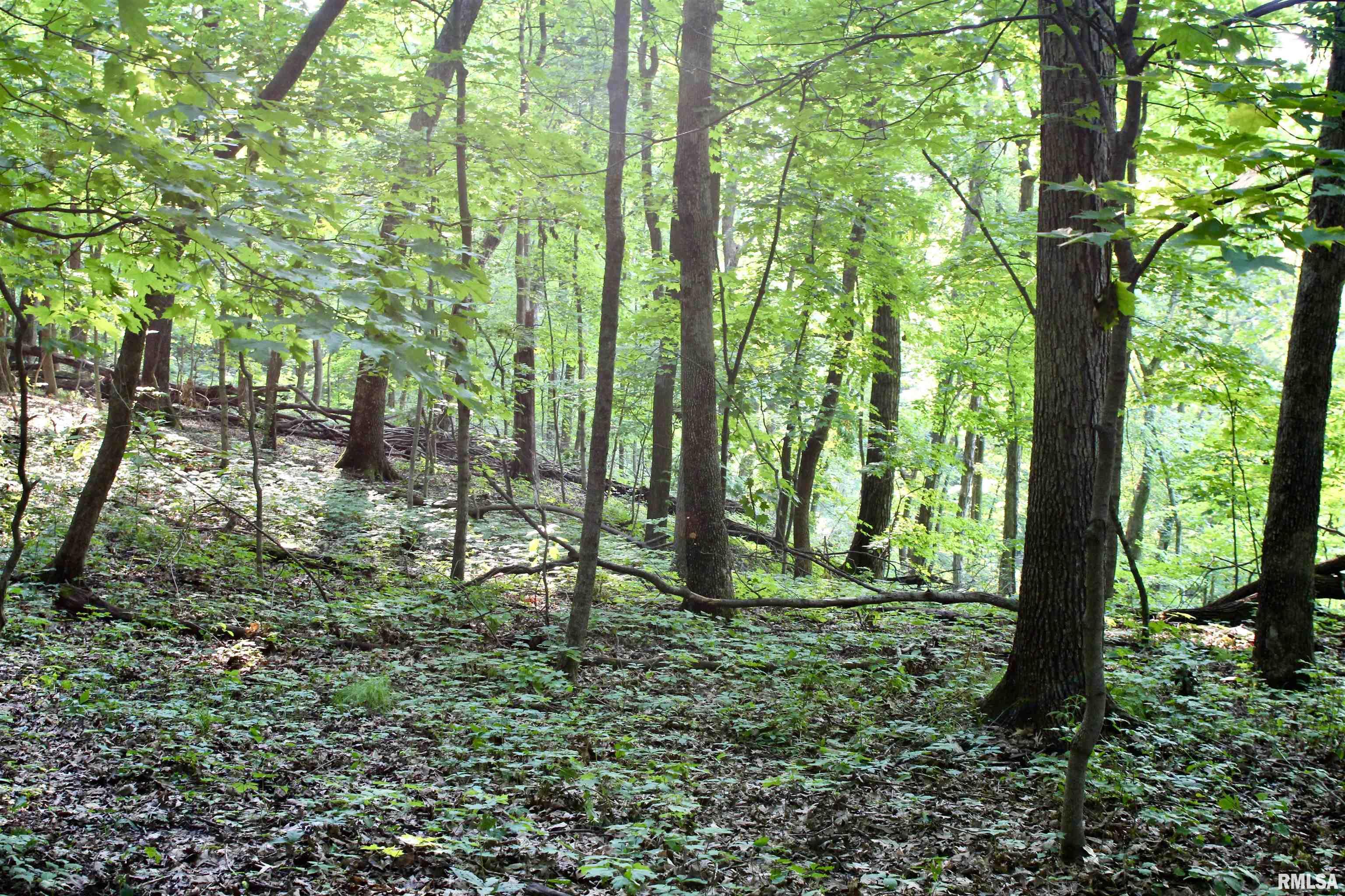 21208 North Blue Ridge Road Chillicothe, IL 61523 - Photo 93 of 99 Gallery Image 93