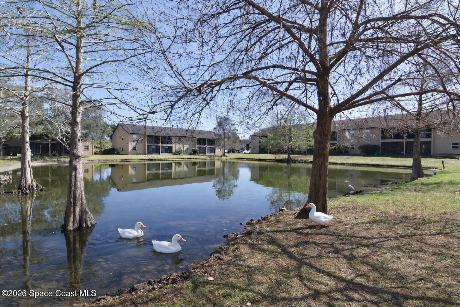 280 Spring Drive, Unit 1 Merritt Island, FL 32953 - Photo 17 of 17 pond