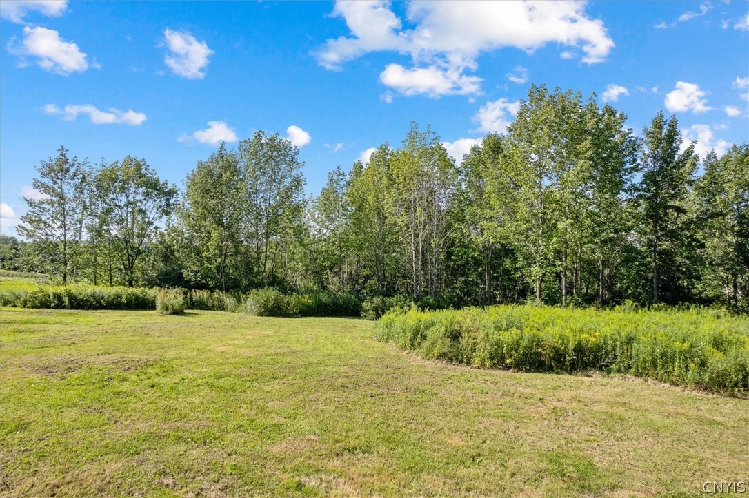 0 Clemons Road Frankfort, NY 13340 - Photo 1 of 1 Gallery Image 1
