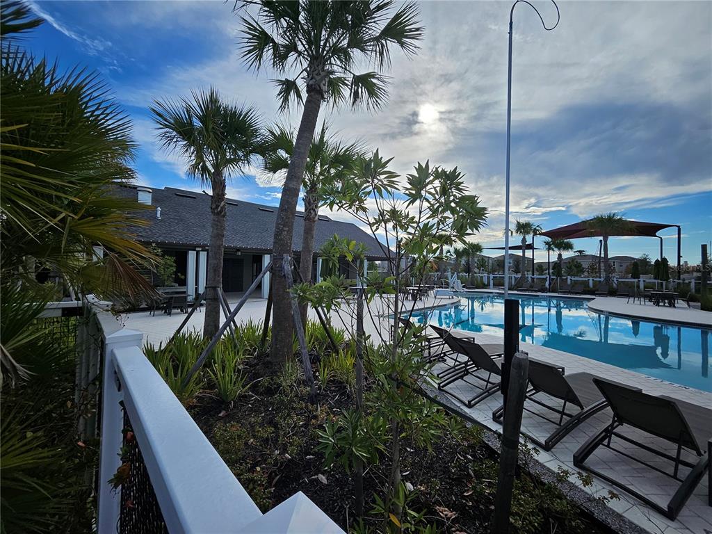 2636 Hardin Way Zephyrhills, FL 33541 - Photo 37 of 42 a view of a backyard