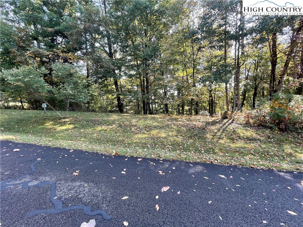 Autumn Run West Jefferson, NC 28694 - Photo 3 of 18