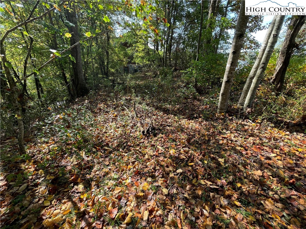 Autumn Run West Jefferson, NC 28694 - Photo 4 of 18
