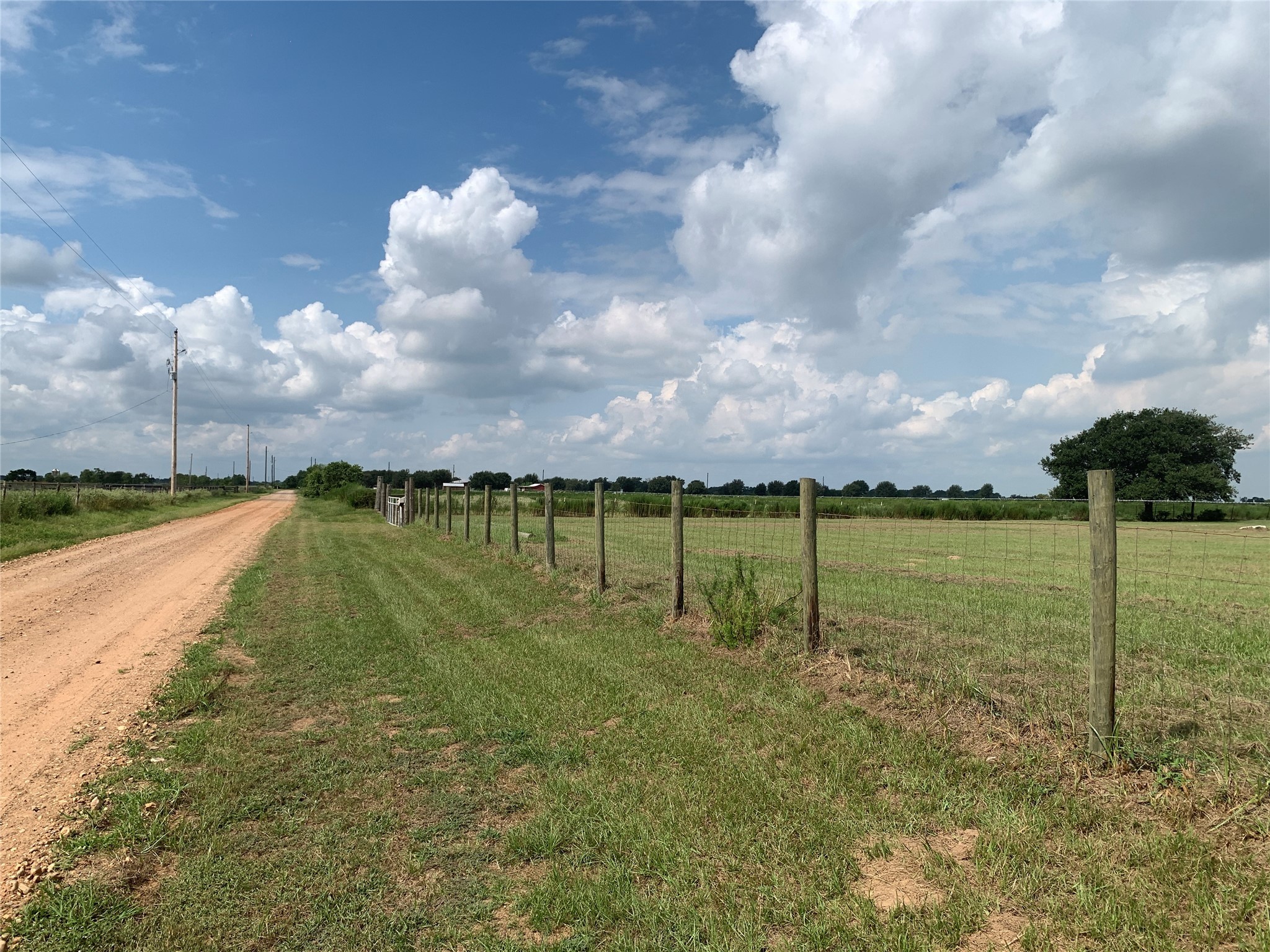 4314 Orange Hill Road Sealy, TX 77474 - Photo 3 of 13 a view of a garden and swimming pool