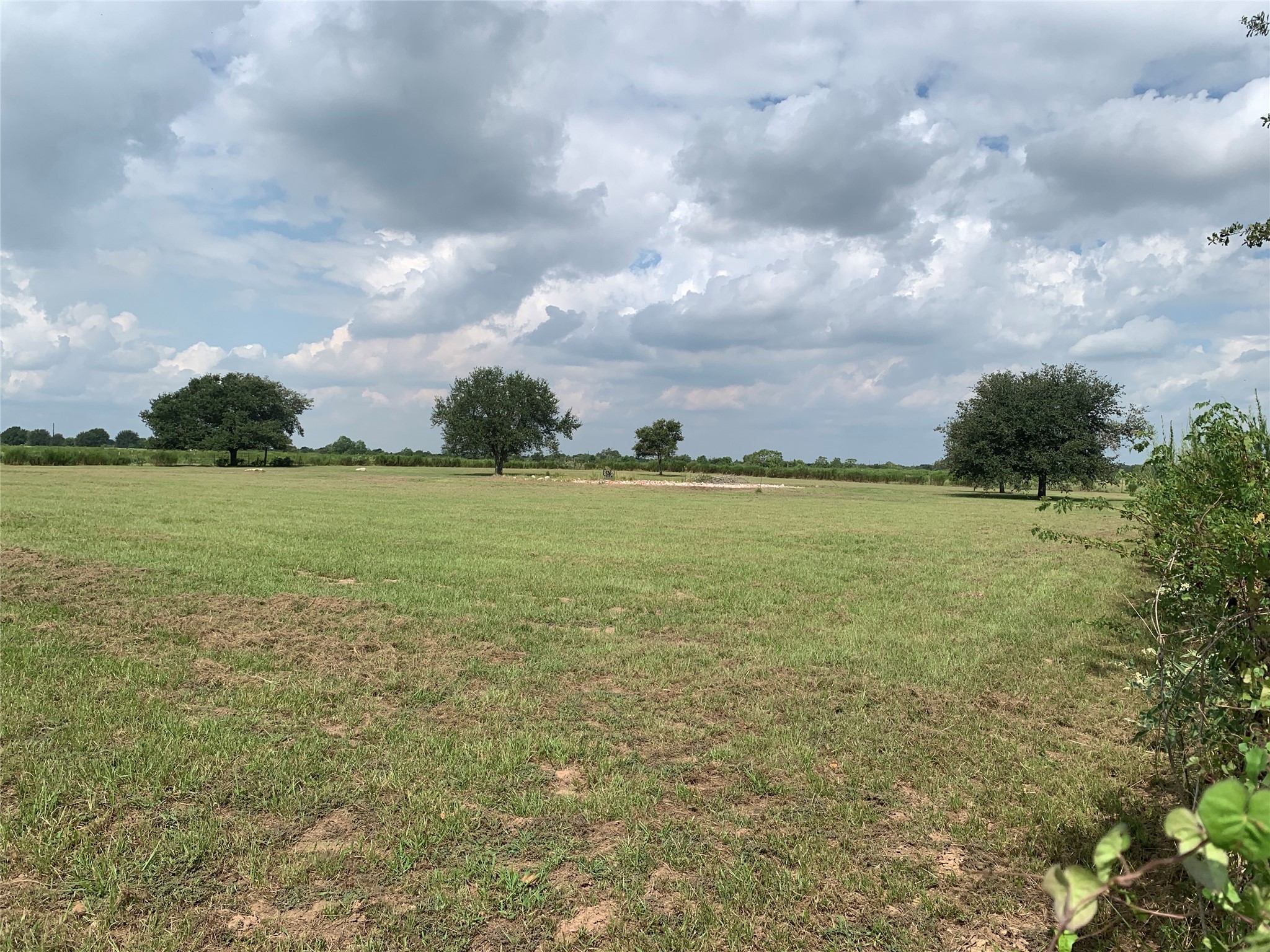 4314 Orange Hill Road Sealy, TX 77474 - Photo 5 of 13