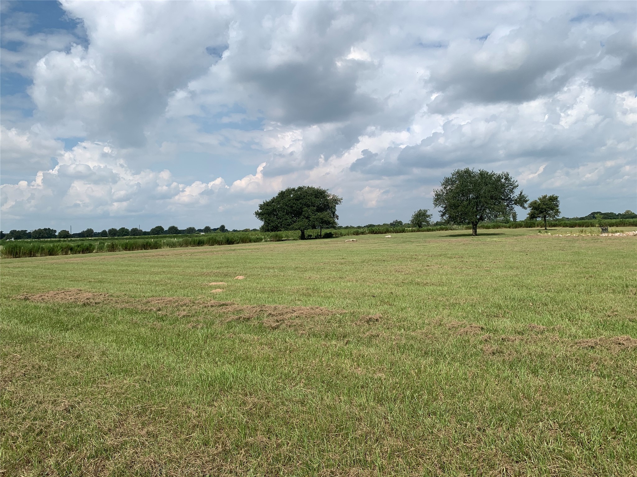 4314 Orange Hill Road Sealy, TX 77474 - Photo 7 of 13 a view of a lake view