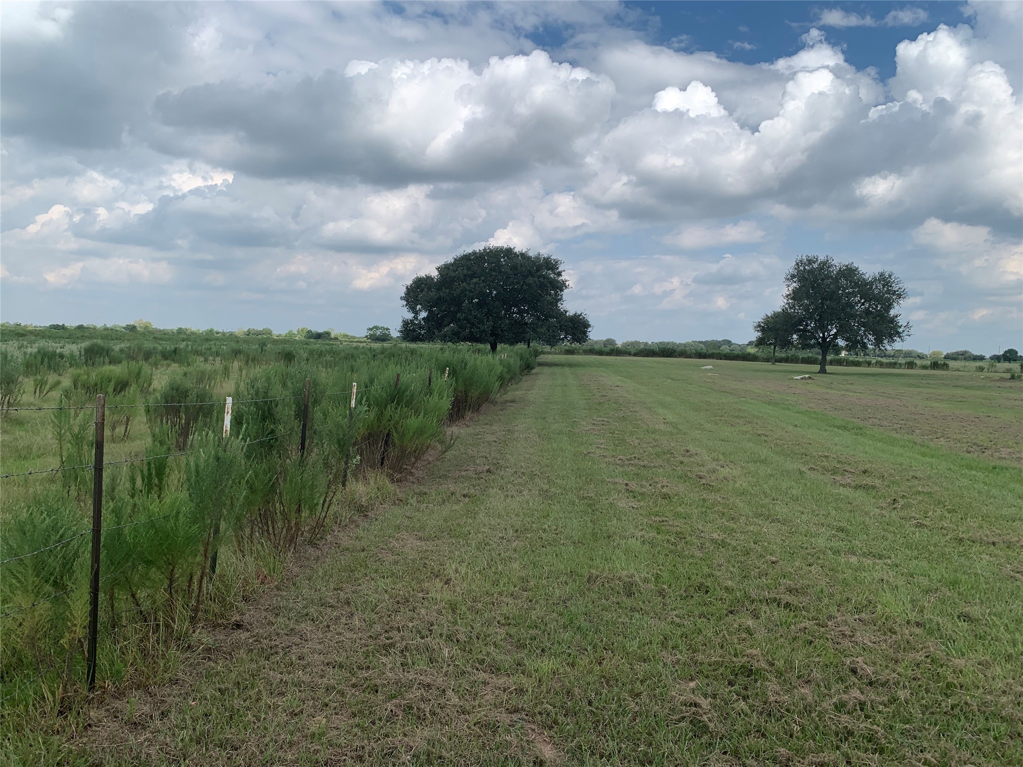 4314 Orange Hill Road Sealy, TX 77474 - Photo 10 of 13