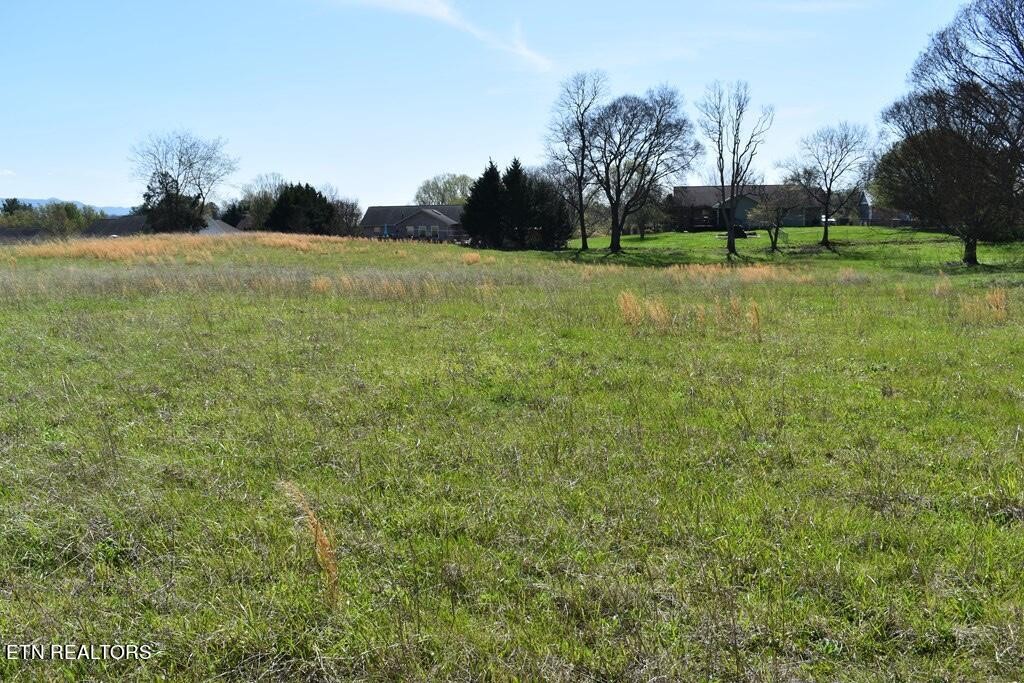 15 Temple Road Seymour, TN 37865 - Photo 3 of 3 Gallery Image 3