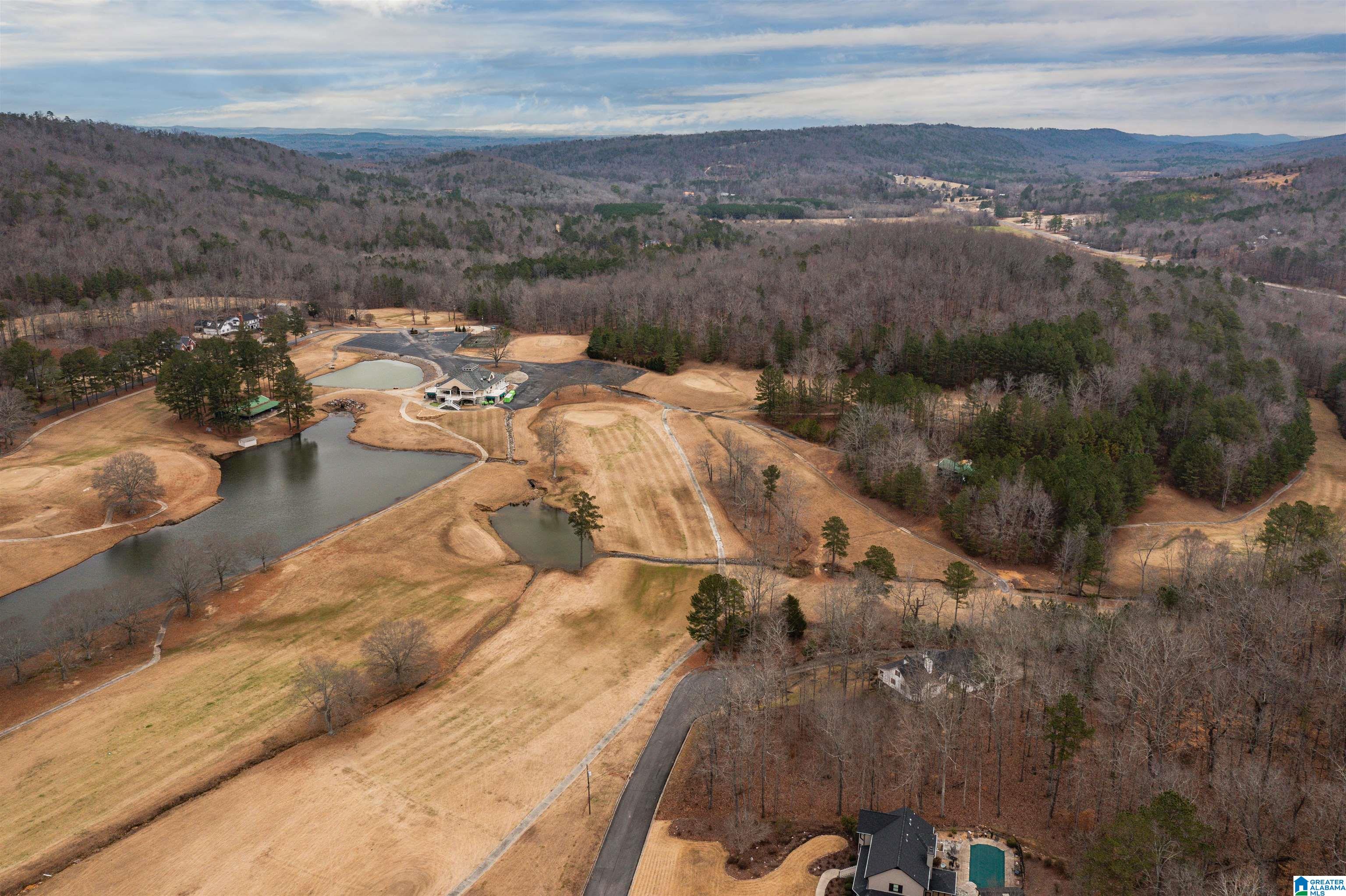 1 Heritage Road Oneonta, AL 35121 - Photo 68 of 74
